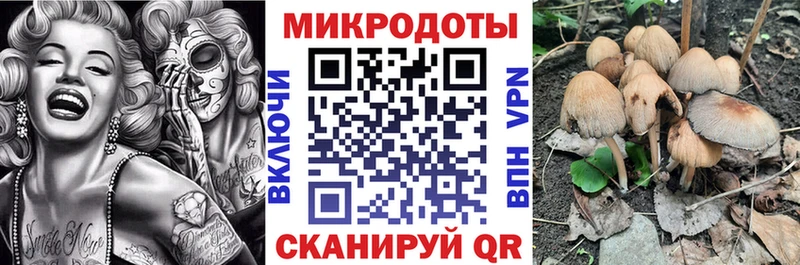 маркетплейс какой сайт  Маркс  Псилоцибиновые грибы мицелий  блэк спрут ССЫЛКА 